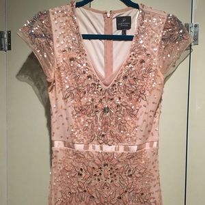 Adrianna Papell Blush Embellished Gown
